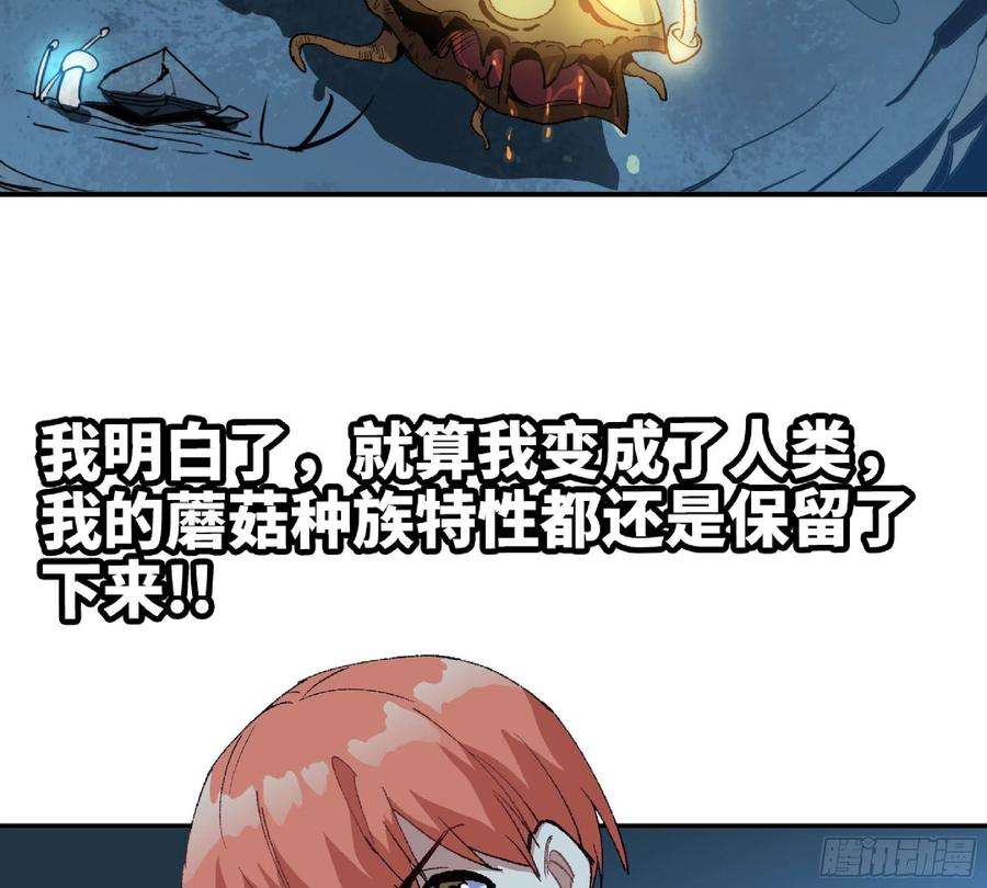 蘑菇勇者62 超净化射击