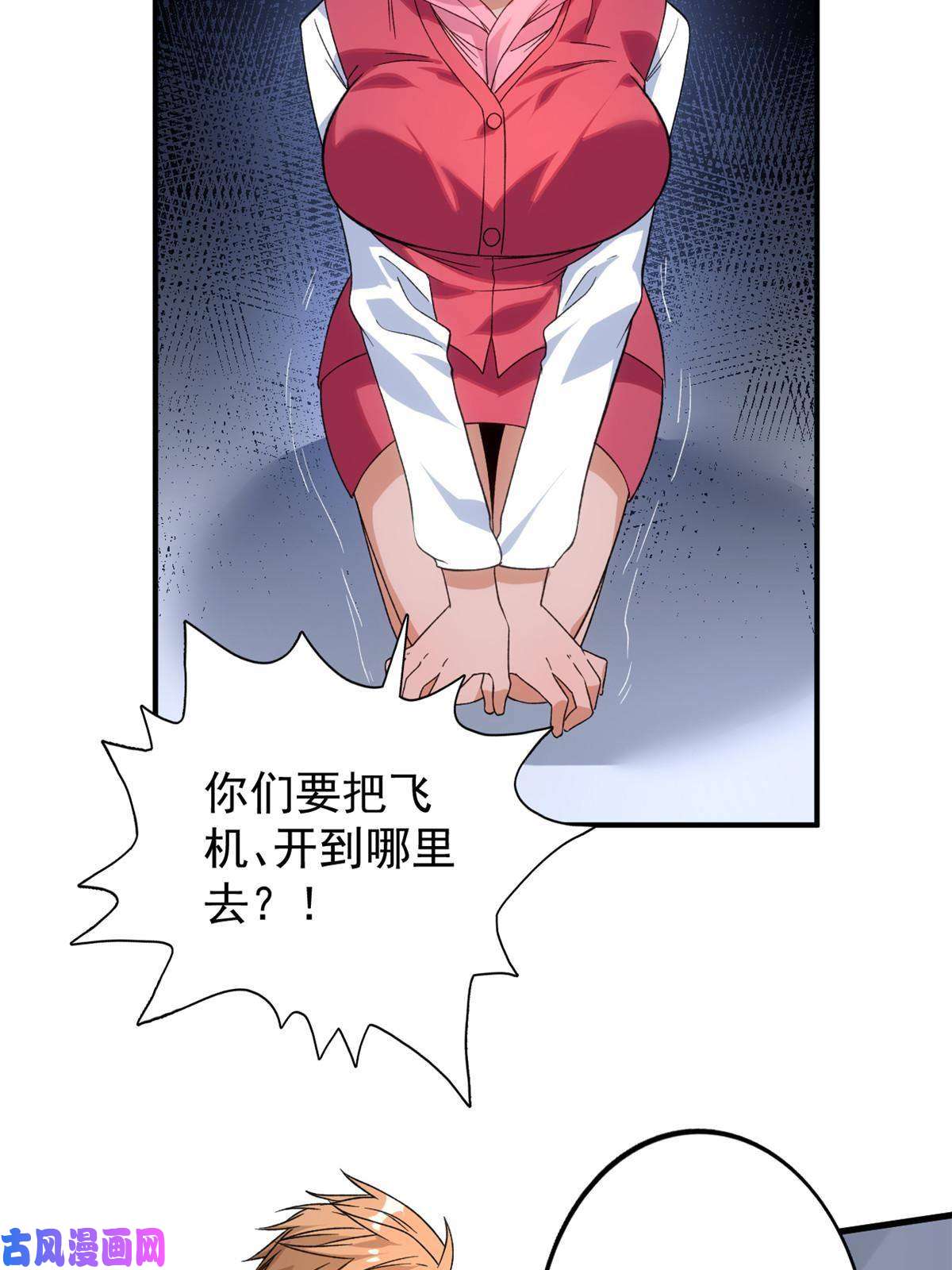 我有999种异能65 遭遇劫机