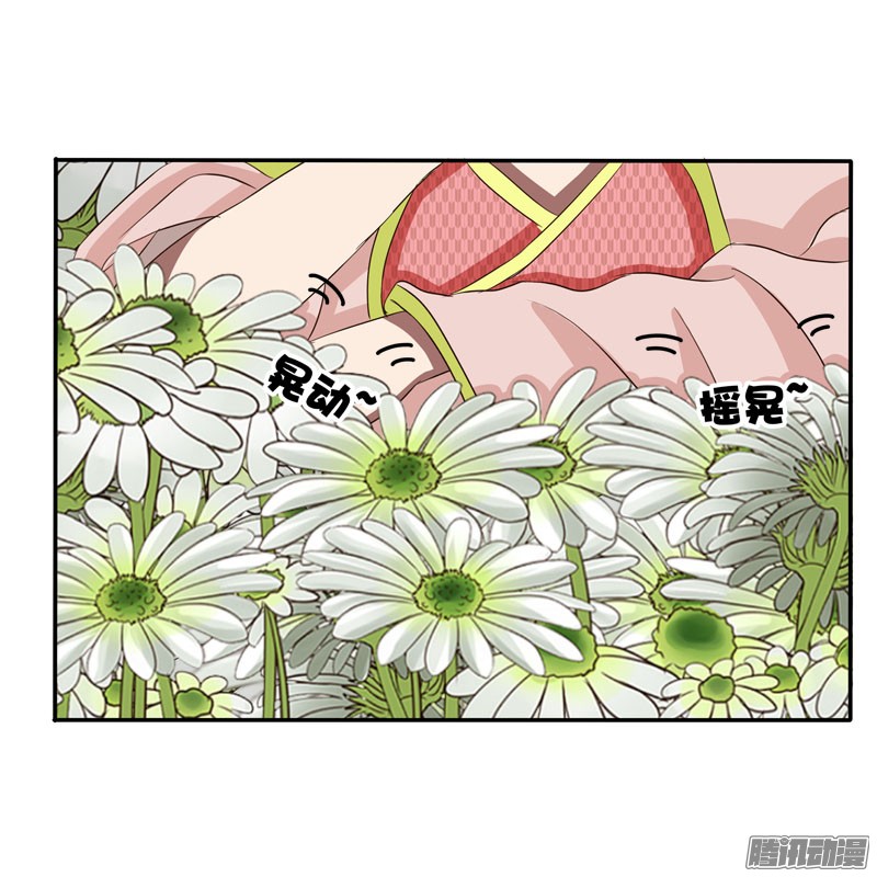 通灵妃花妖