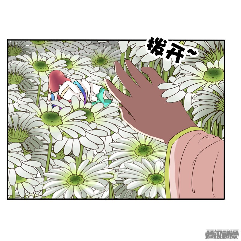 通灵妃花妖