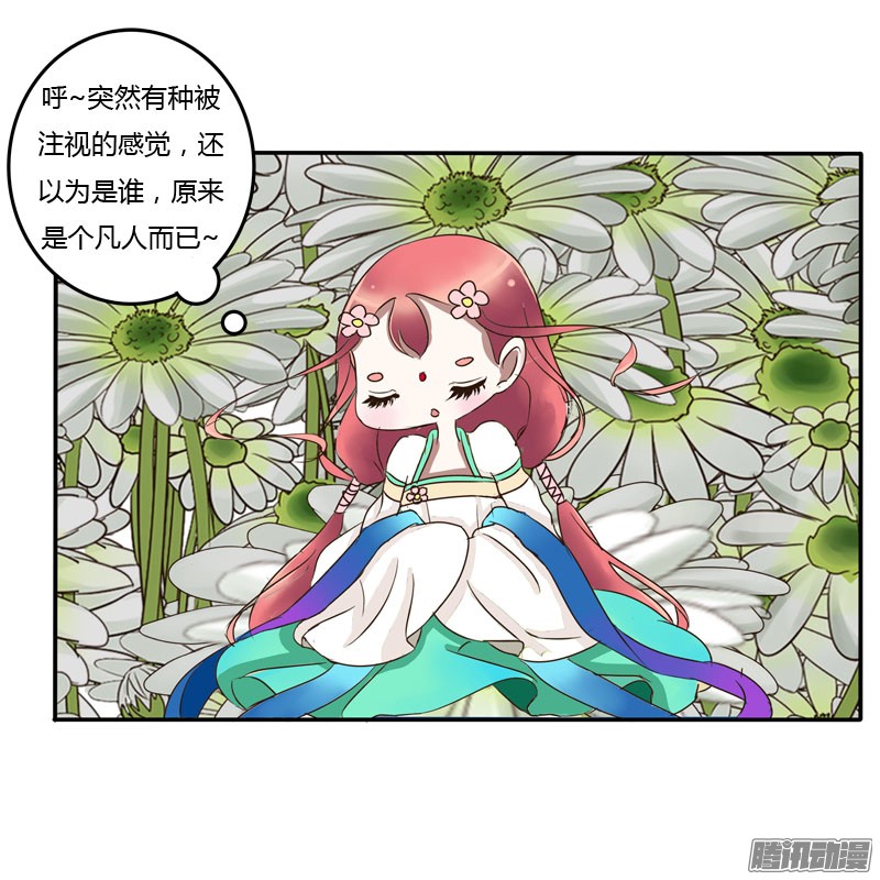 通灵妃花妖