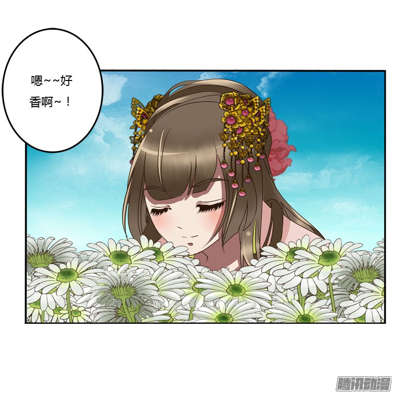 通灵妃花妖