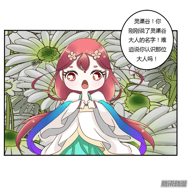 通灵妃花妖
