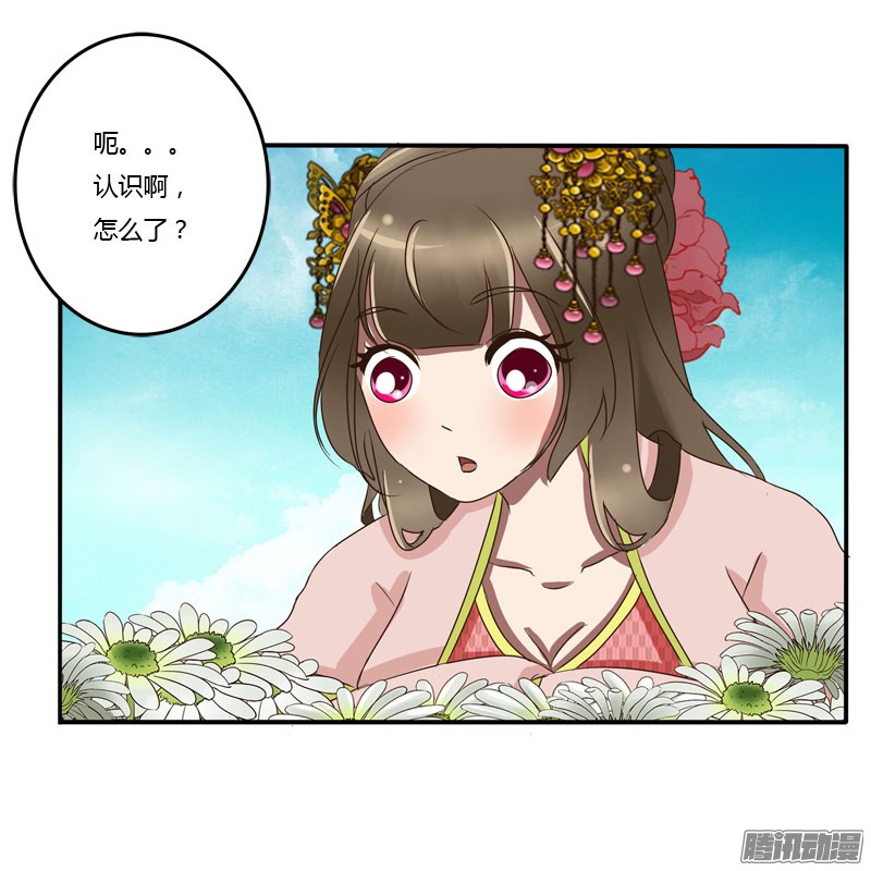 通灵妃花妖