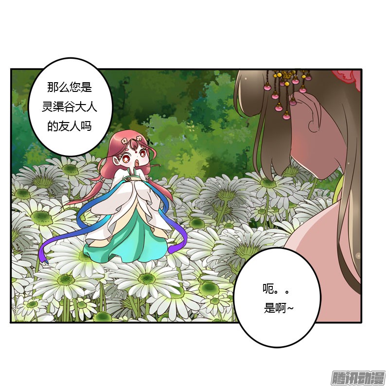 通灵妃花妖