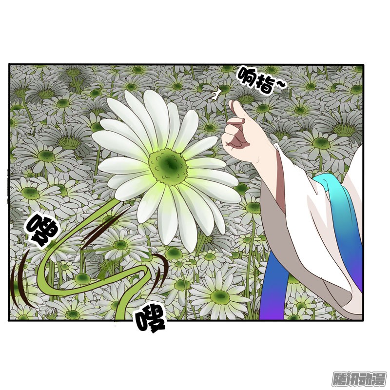 通灵妃花妖