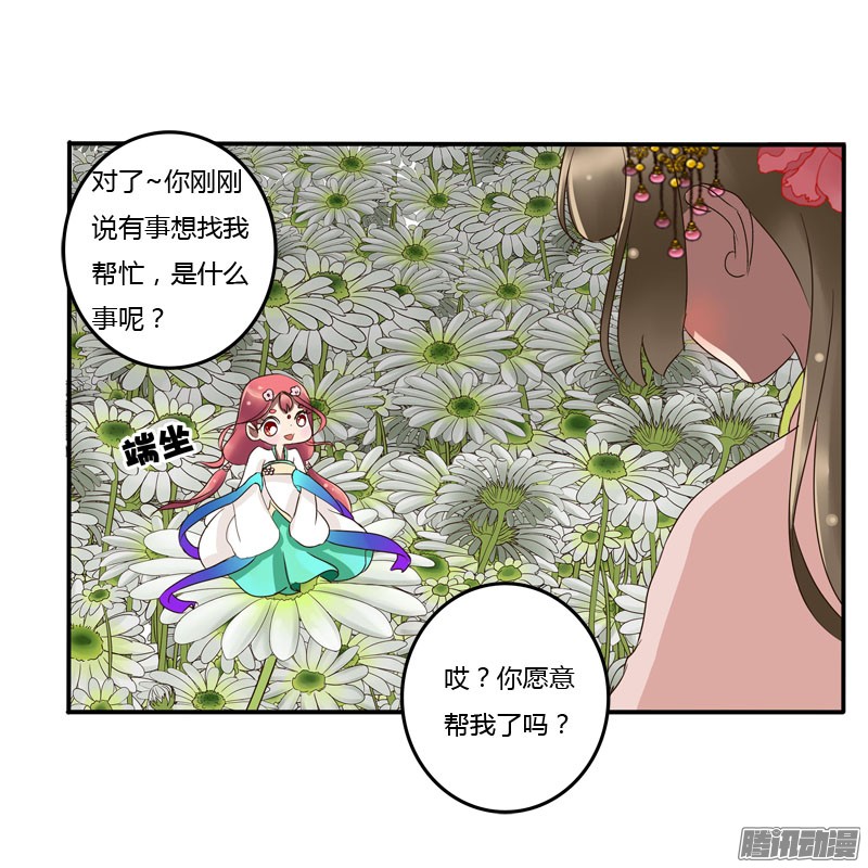 通灵妃花妖