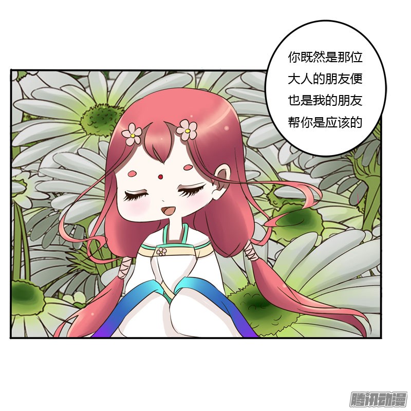 通灵妃花妖