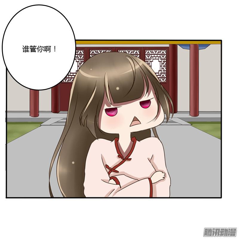 通灵妃王爷的吩咐