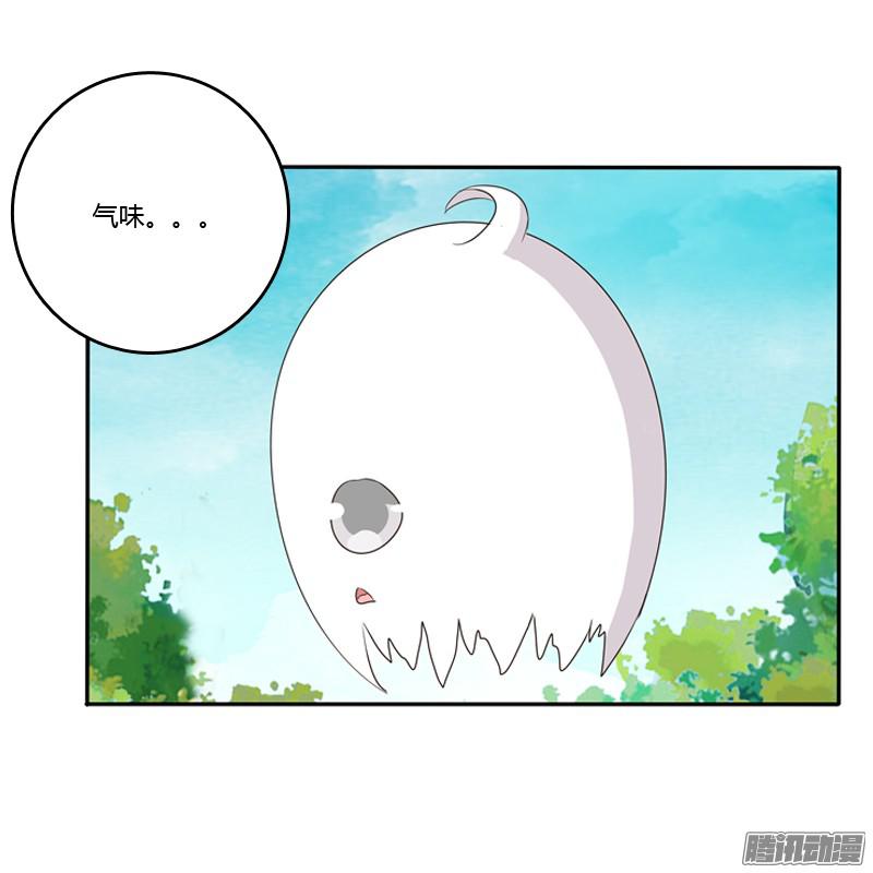 通灵妃臭老头？