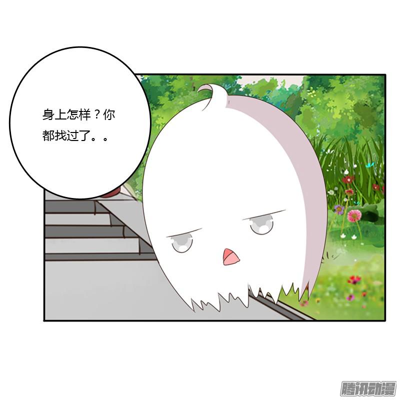 通灵妃这是什么啊？