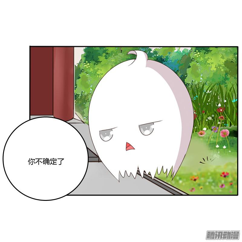 通灵妃这是什么啊？