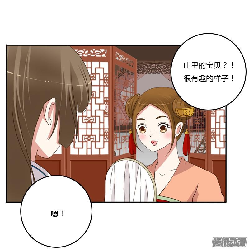 通灵妃找宝贝