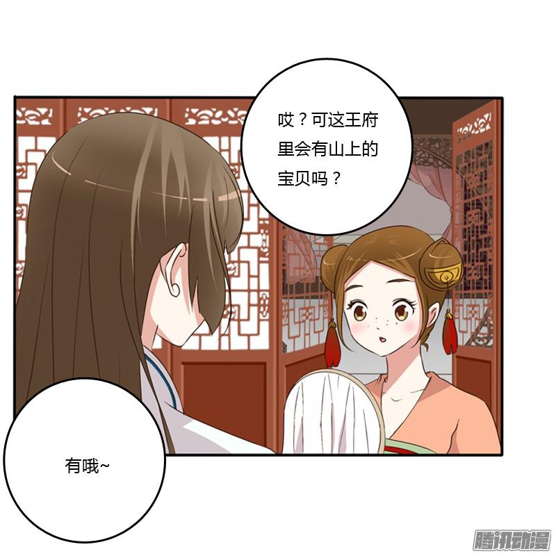 通灵妃找宝贝