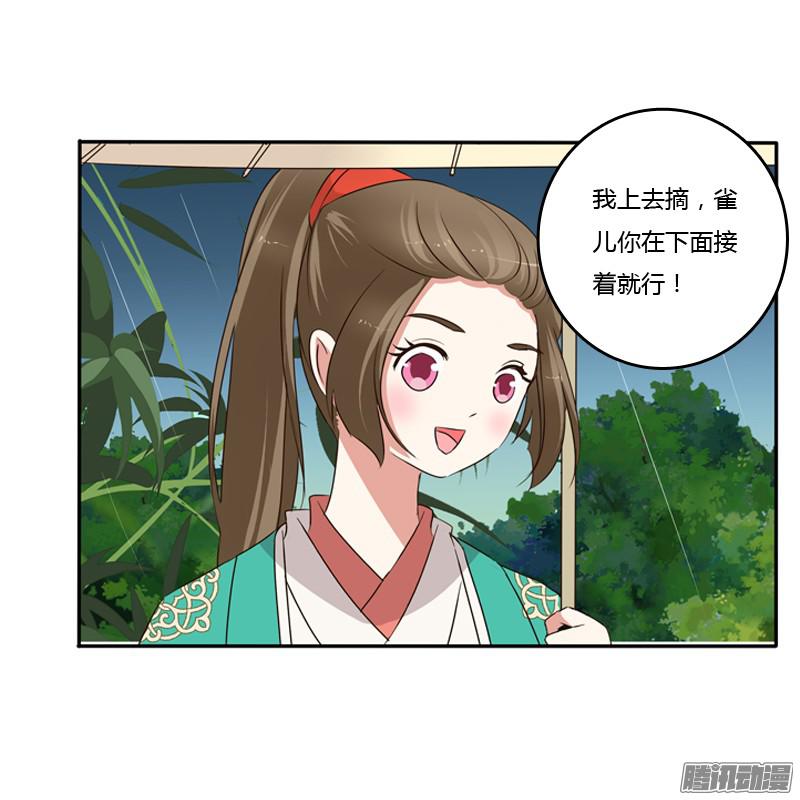 通灵妃找宝贝