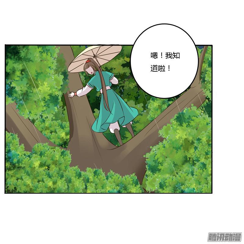 通灵妃找宝贝