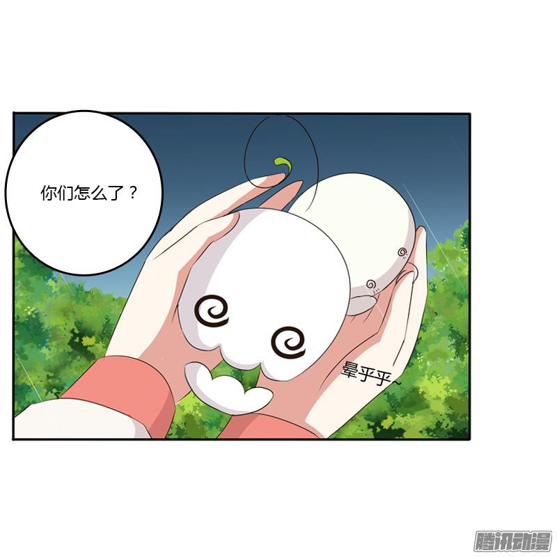 通灵妃雨中遇见