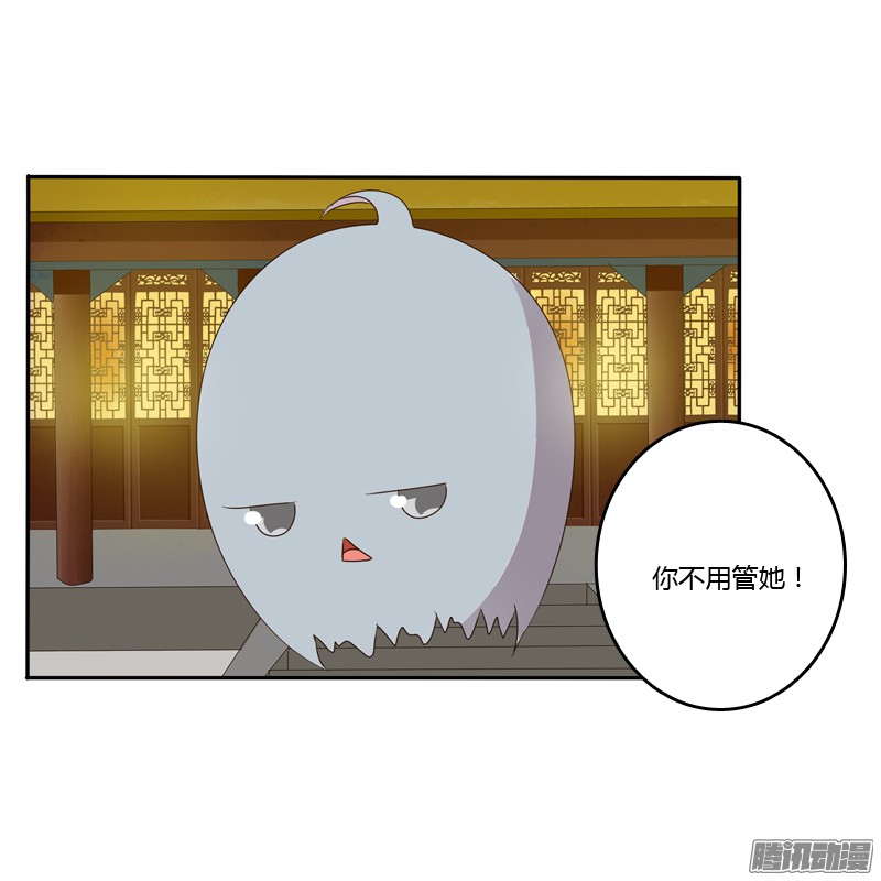 通灵妃开门啊！