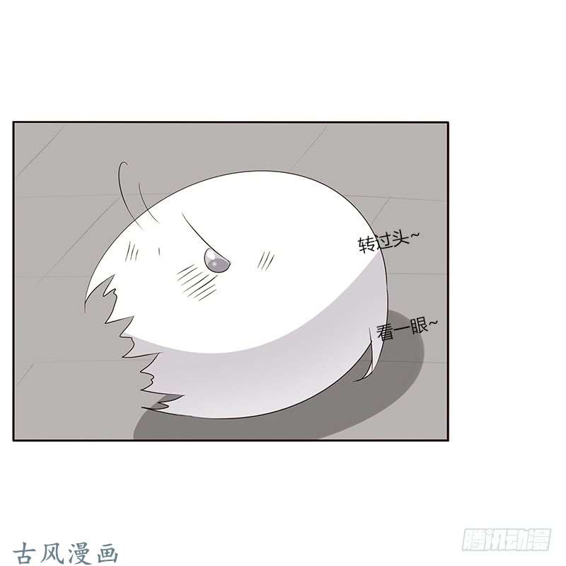 通灵妃破布吗？