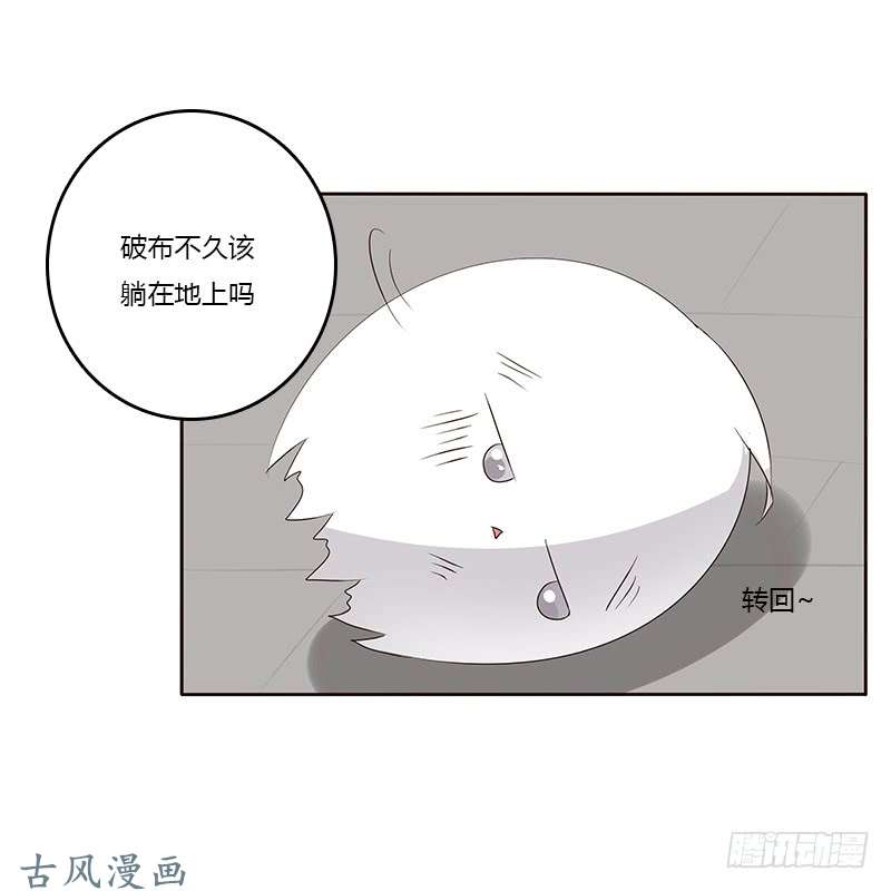 通灵妃破布吗？