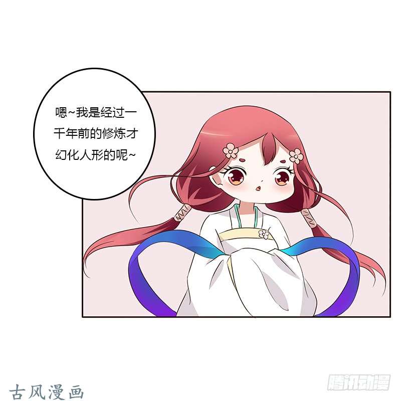 通灵妃想换个身体