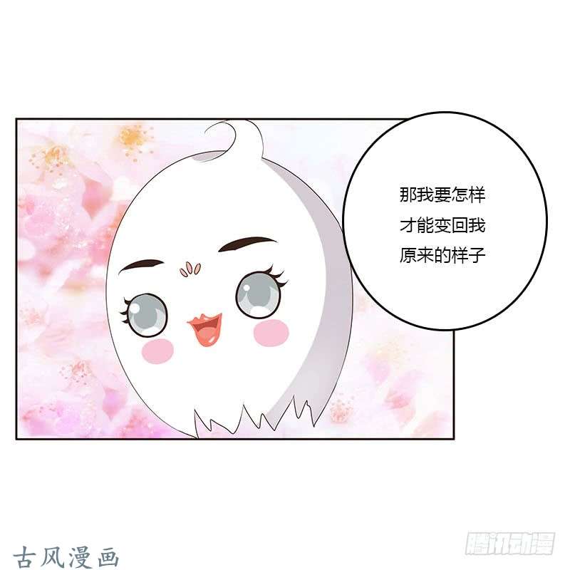 通灵妃本来面目
