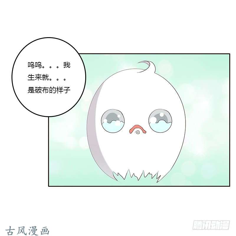 通灵妃本来面目