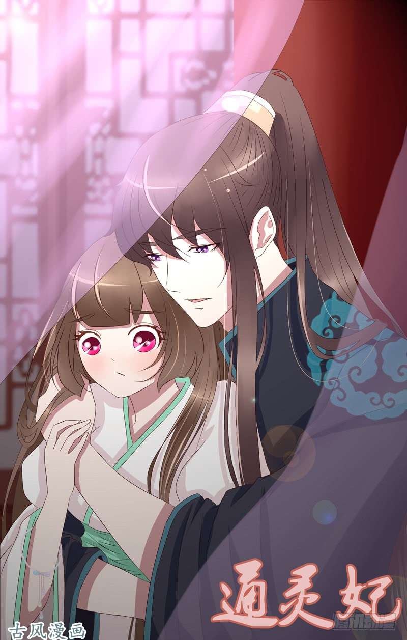 通灵妃懂理明事图文集