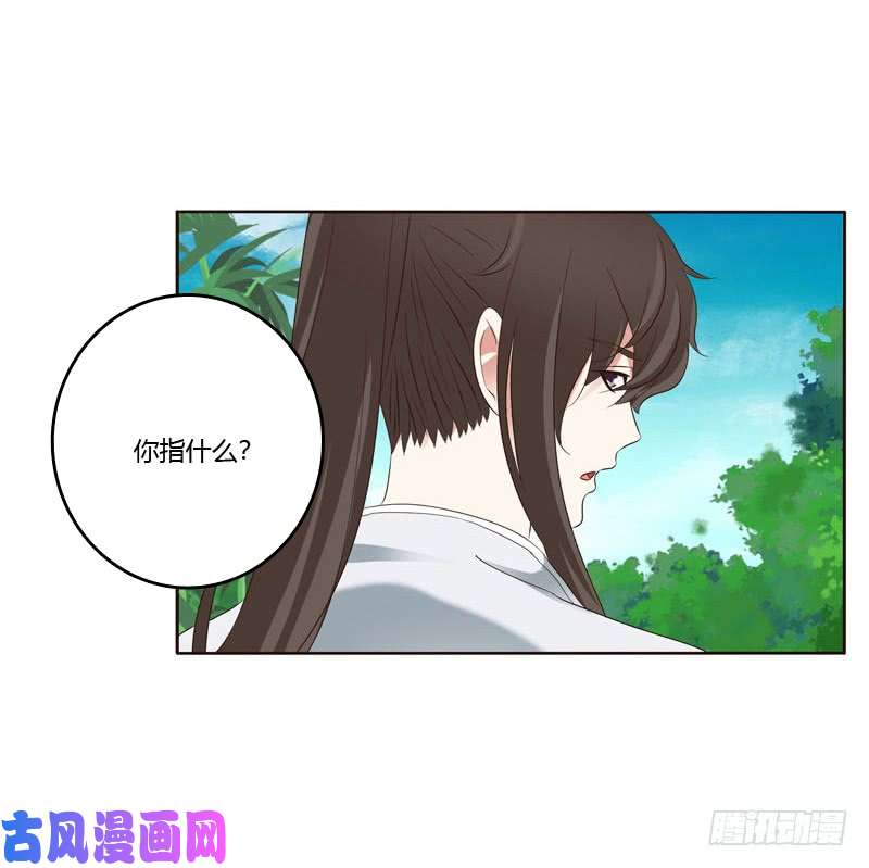 通灵妃生孩子的计划