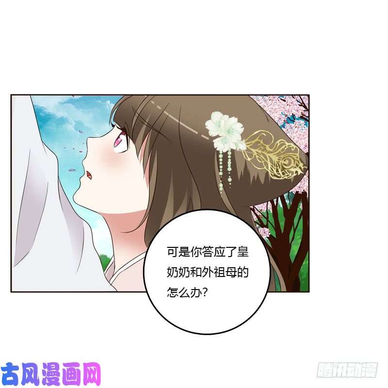 通灵妃给王爷做礼物