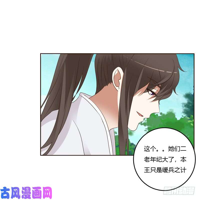 通灵妃给王爷做礼物