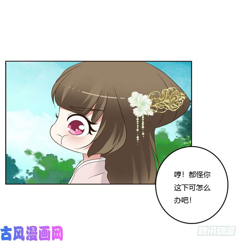 通灵妃给王爷做礼物