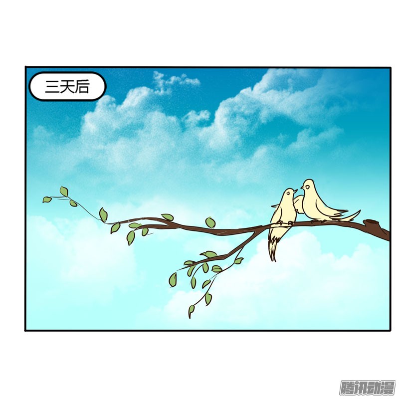 通灵妃51话 去哪儿