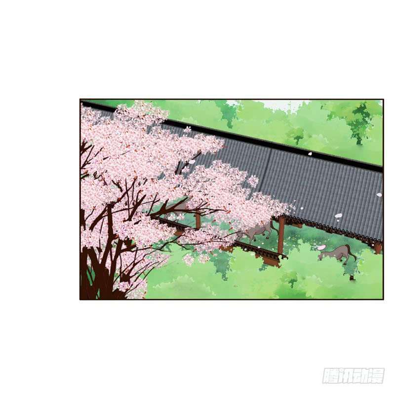 通灵妃坏家伙