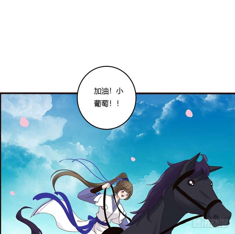 通灵妃坏家伙