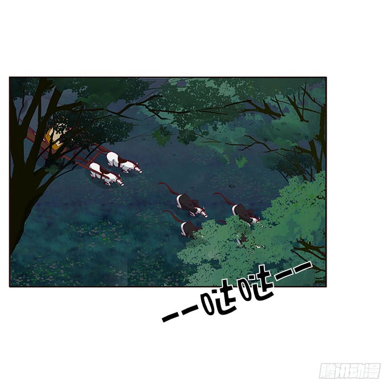 通灵妃我要杀了你