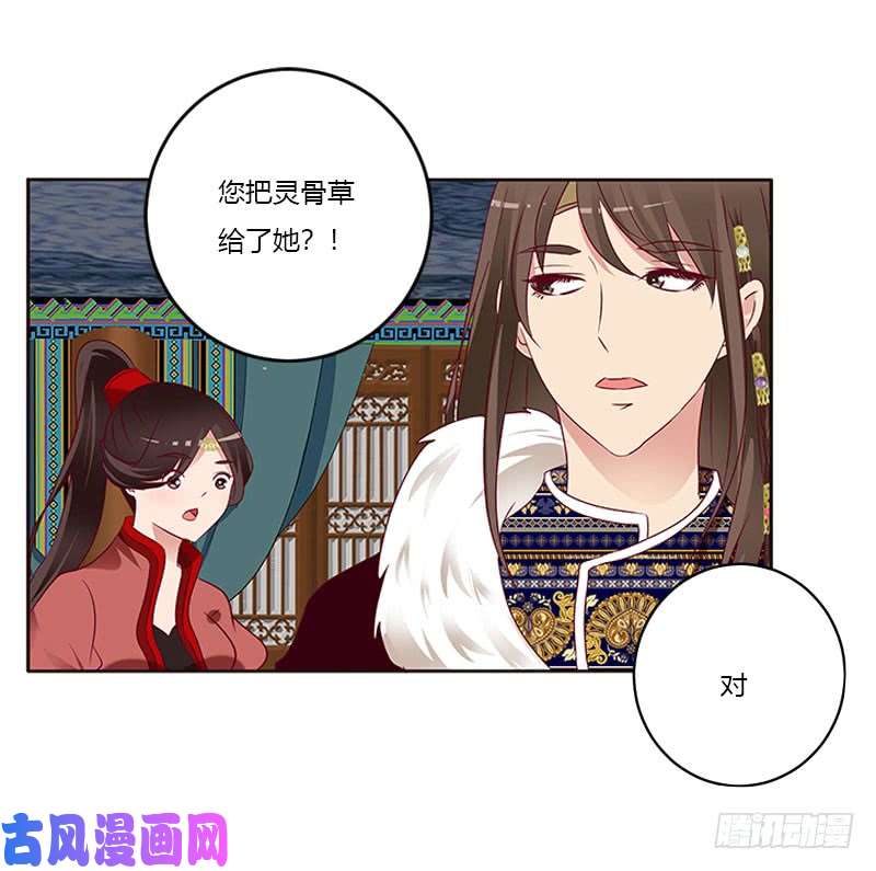 通灵妃我只在乎你