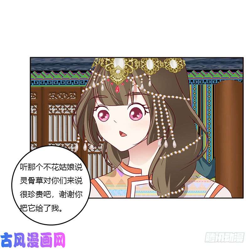 通灵妃我喜欢你