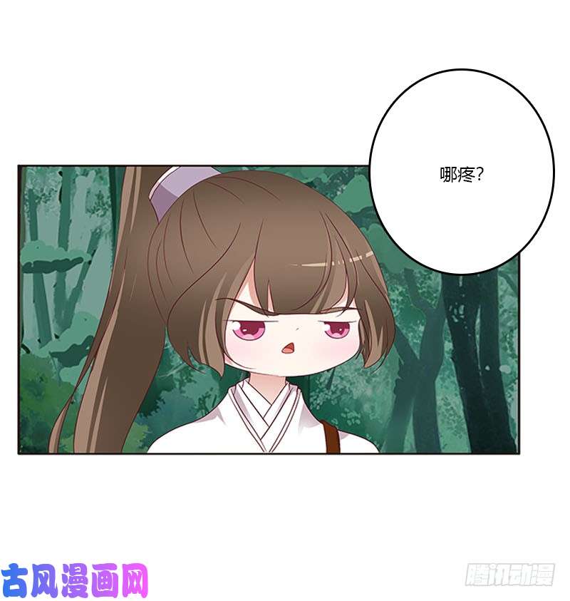 通灵妃只能看本王