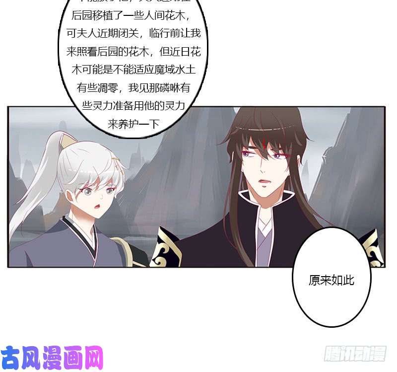 通灵妃缘 起