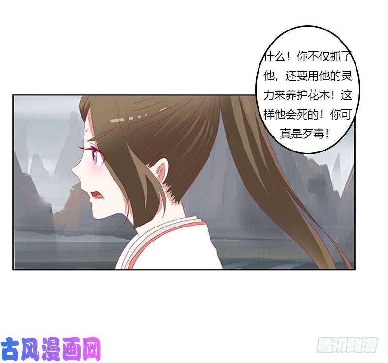 通灵妃缘 起