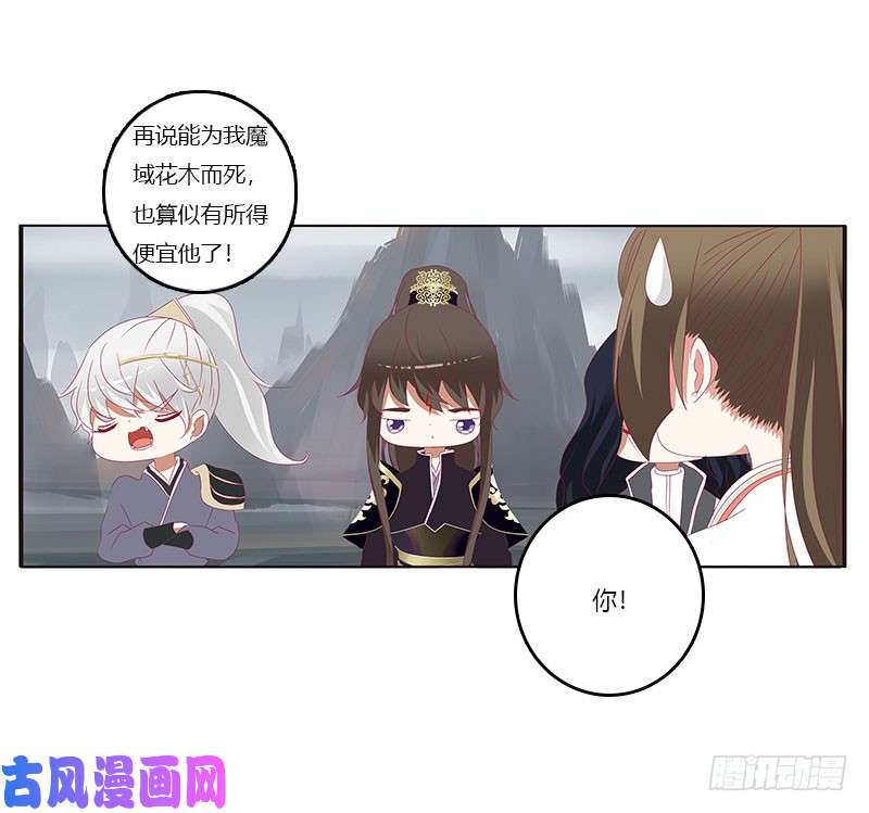 通灵妃缘 起