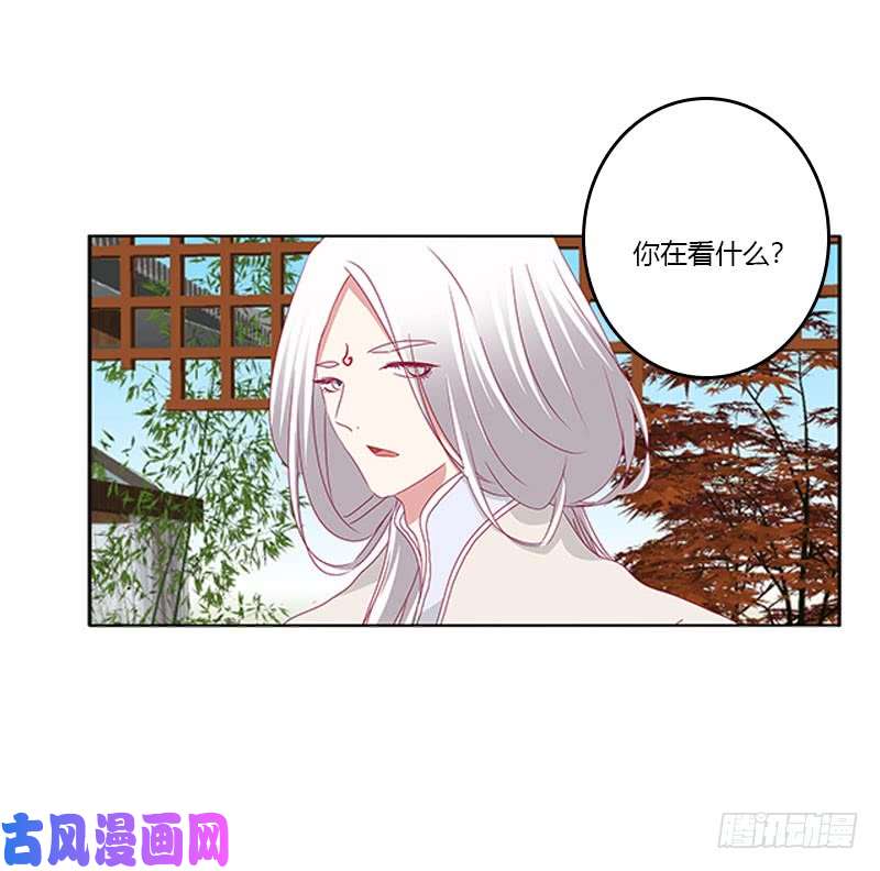 通灵妃本君很不爽