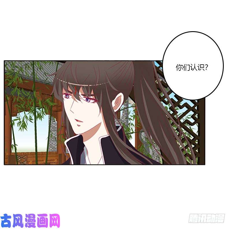通灵妃本君很不爽