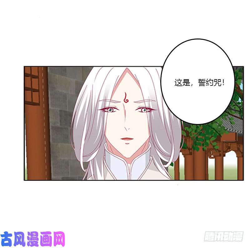 通灵妃本君很不爽