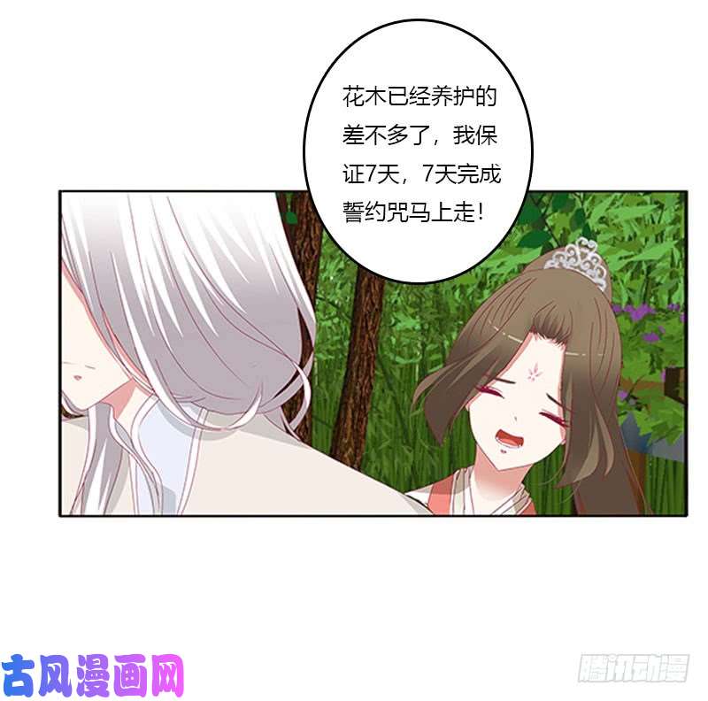 通灵妃本君很不爽