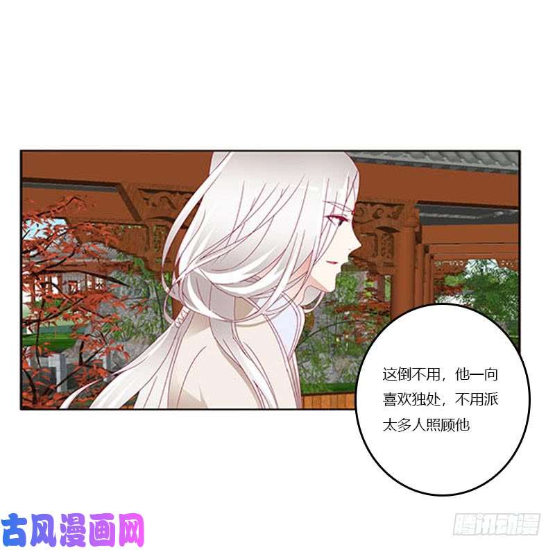 通灵妃本君会照顾“他”