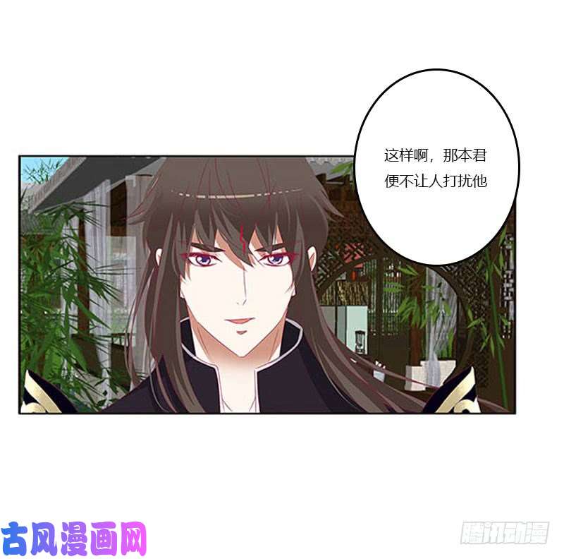 通灵妃本君会照顾“他”