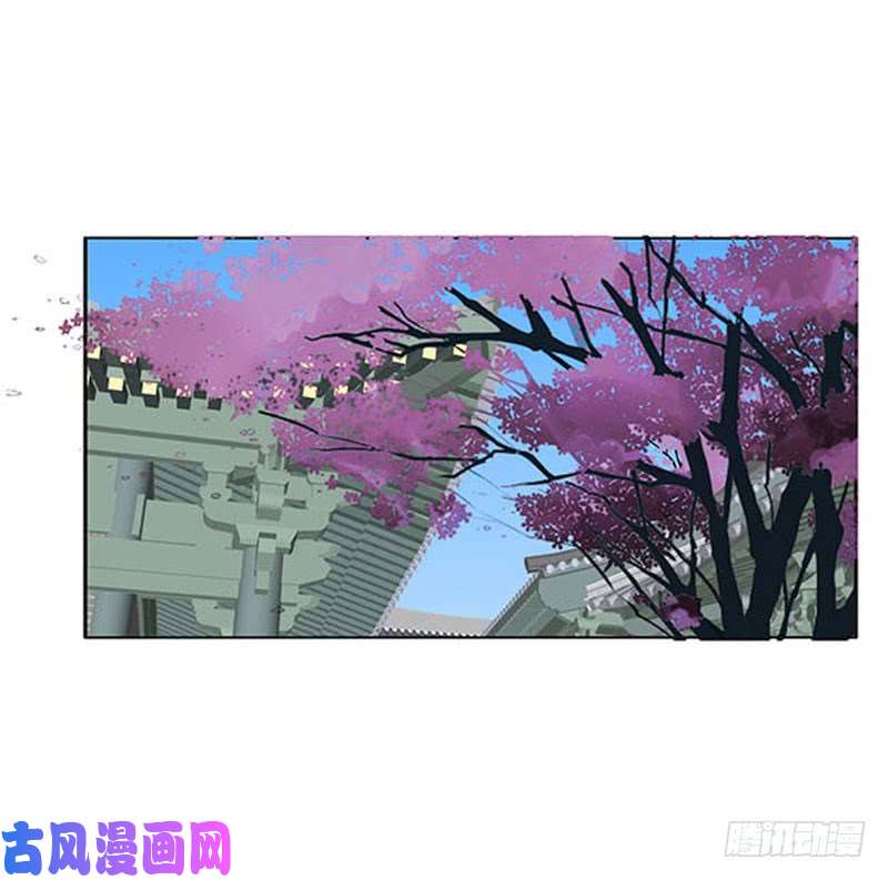 通灵妃本君会照顾“他”