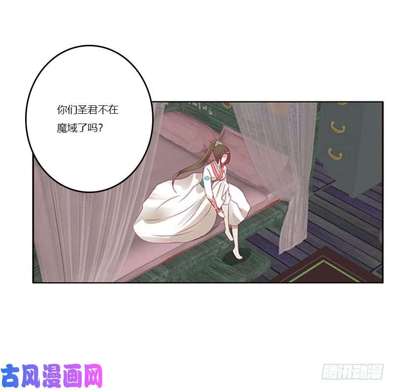 通灵妃本君会照顾“他”